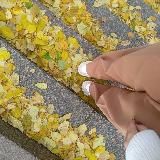 Atelier de Clara Shtaalbaum