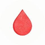 Кровь и Бетон