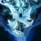 🖤ᴢᴀᴋᴀs ᴍᴜsɪᴄ🎶