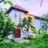 Музей языков мира