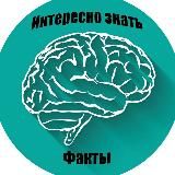 Интересно знать|Факты 🧠