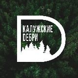 Калужские дебри