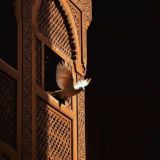 أَوْرَاقُ رَاحِلِينَ