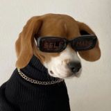 📁Папочка чат