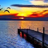 her acının bir sebebi var.🥀