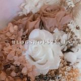 *:.｡. 𝐛𝐥𝐨𝐠𝐬𝐡𝐨𝐩𝐬𝐭𝐞𝐚𝐥𝐬 ♡🦋🤍