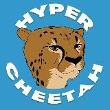 HYPER DAO CHEETAH [СНГ]