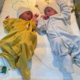 Meetsurrogatemothers