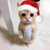 abuzer’ы [by rumakura]🧢