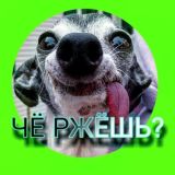 Чё ржёшь?