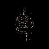 ТАРО | МАГИЯ | АСТРОЛОГИЯ | ГАДАНИЯ