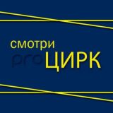 Воронежский цирк Chat