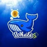 Whales Crypto 🐋