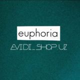EVIDI ЧАТ
