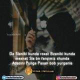 < • D•o•S•L•a•R • >