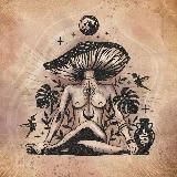 Glückspilz 🍄🍀