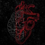 چرت و پرت های یک مغز!