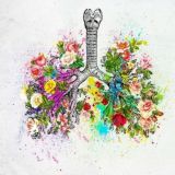 Pulse _ نبض 🌸🍃