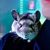 SklyarGO (Olegancho)