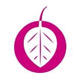 Вкусная жизнь полезного лимонада | ЭКОНАД®