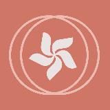 Betonmaster Покупки в Китае