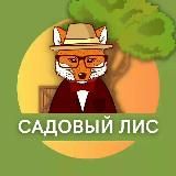 Садовый Лис 🦊 Идеи дома для сада