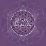 🦋Ecosistema Effetto Farfalla 🦋