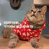 сохрани, чтобы не забыть
