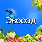 Эвосад 🦋