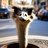 С пользой для водил