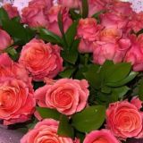 𝓦𝓲𝓽𝓱 𝓓😻