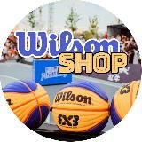 WilsonShop42 баскетбольные мячи