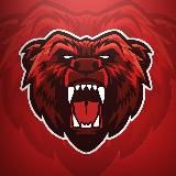 ⚡️BEAR BETS 👑 Ставки Прогнозы на спорт