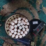 JASA BIND LINK BY JHUANDA