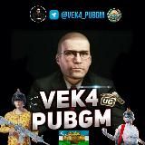 Vek4 Pubgm