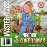 🌱💚 Afiliados EL NEGOCIO DE LAS KOKEDAMAS | www.cursodigital.de - CD15 🌿
