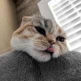 Good vibes only🙌🏻