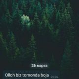 Z̫͙̫̾̾̾̾o̫͙̫̾̾̾̾ℓ̫͙̫̾̾̾̾o̫͙̫̾̾̾̾t̫͙̫̾̾̾̾o̫͙̫̾̾̾̾ყ̫͙̾̾̾ Ζοηą