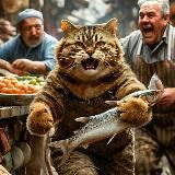 Котик в Крыму