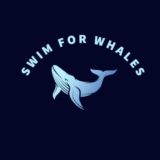 Swim For Whales🐋