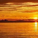 природа жизни • Ася Репрева