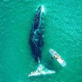 shantartravel-путешествия и туризм в России