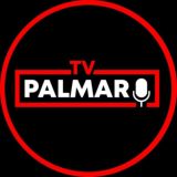 PalmaroTV | Содержанки | холостяк | сериалы