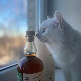 Pro Whisky