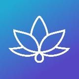 Mindly: Психология для всех