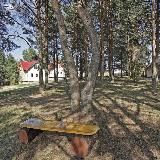 База отдыха на Селигере «Екатерининская Слобода»