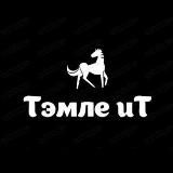 Казылык Вяленый гусь Тэмле иТ