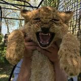 Смешные видео