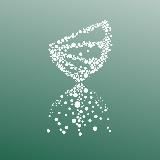 Millennium_clinic_rostov