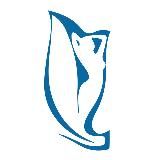 НИКА СПРИНГ